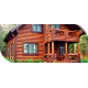 Купить ЗАЩИТНОЕ МАСЛО ДЛЯ ДЕРЕВА WOOD & HOUSE Серия ПРОФИ в Находке, Приморский край